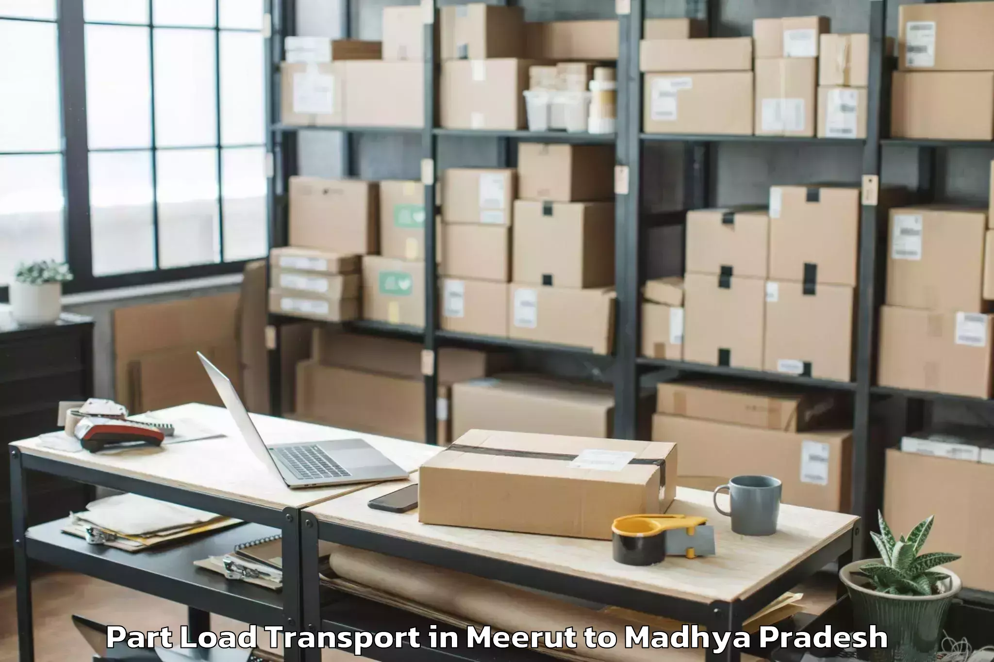 Reliable Meerut to Satwas Part Load Transport